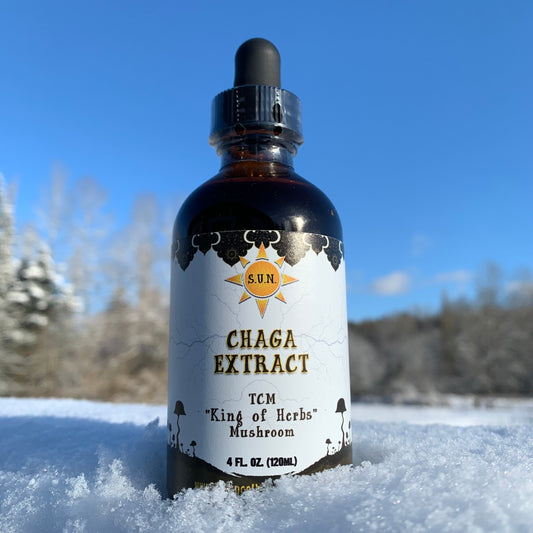 Chaga Extract 4oz