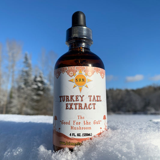 Turkey Tail Extract 4oz