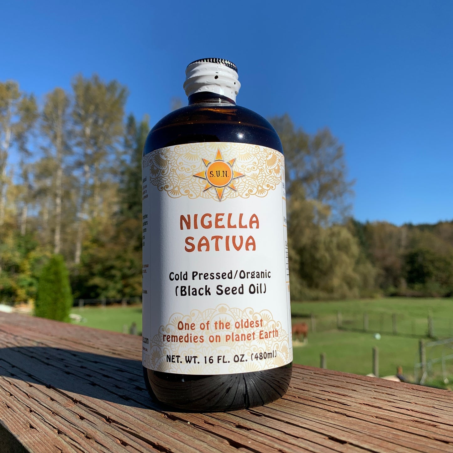 16oz Nigella Sativa Bulk Supply